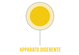 Gastroenterologia